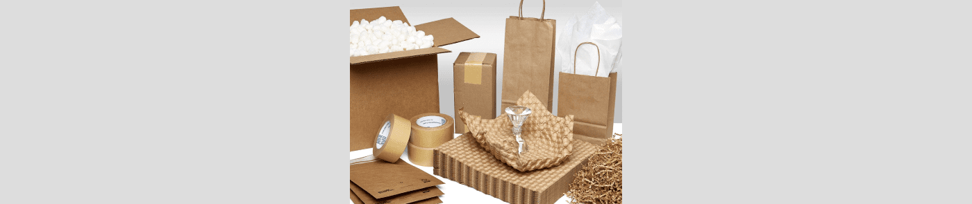 Unveiling the Future of Disposable Food Packaging